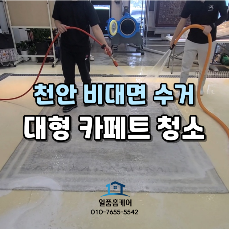  천안 아산 카페트 청소 비대면 수거세탁 타업체 비교불가 시스템 구경하세요
