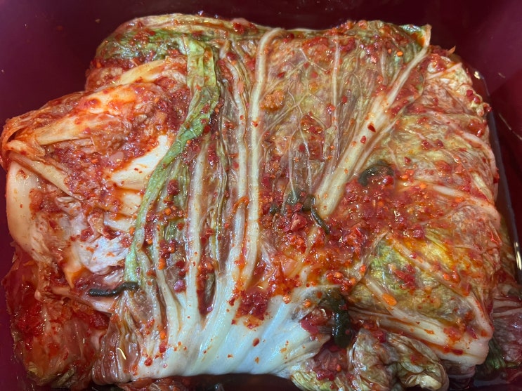  도움의 손길이 김치로 돌아왔어요