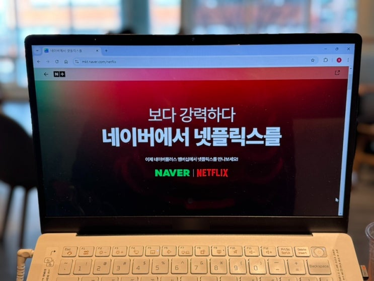  네이버 플러스 멤버십 무료 이용, 넷플릭스 업그레이드 방법 정리