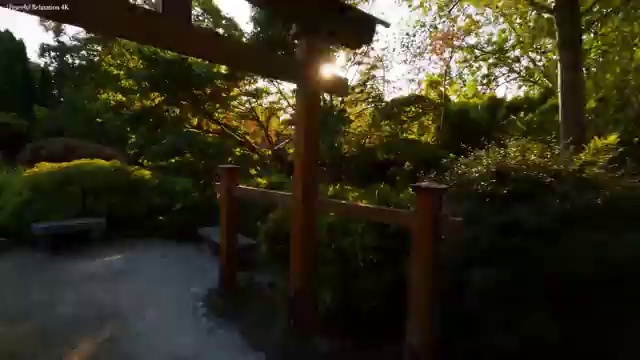  실버케어 자격증 , 노인돌봄생활지원사 자격증 온라인으로 간단히 취득했던 후기 정리