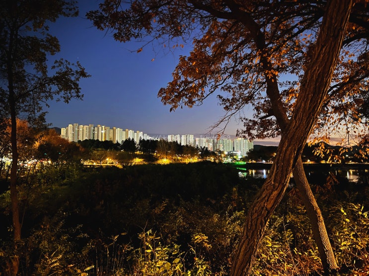  충주 여행 호암지 생태공원 야경 보러 갈만한곳 산책로 우회 참고
