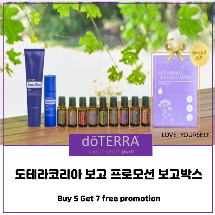  도테라코리아 보고프로모션 시작, 보고박스 제품 12월 13일 단 하루 구매 가능합니다.