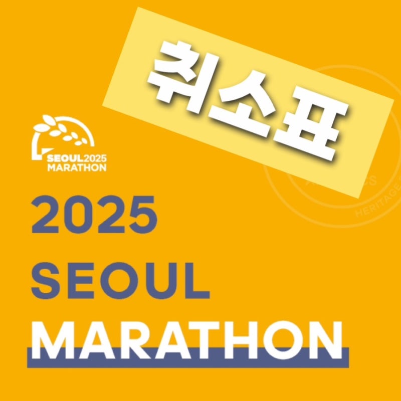 2025 동아마라톤 추가접수 일정 예측 #취소표 노리기