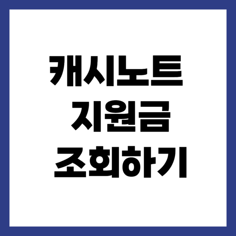 캐시노트 지원금 조회하기