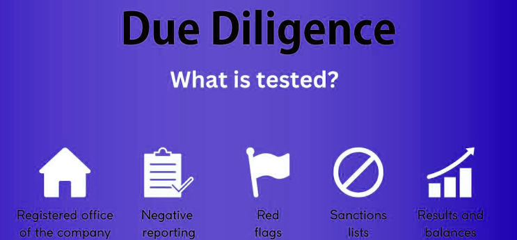 (인디샘 컨설팅) 인도 상황에서의 Due Diligence/실사 및 문서화 (인디샘 컨설팅) 인도 상황에서의 Due Diligence/실사 및 문서화