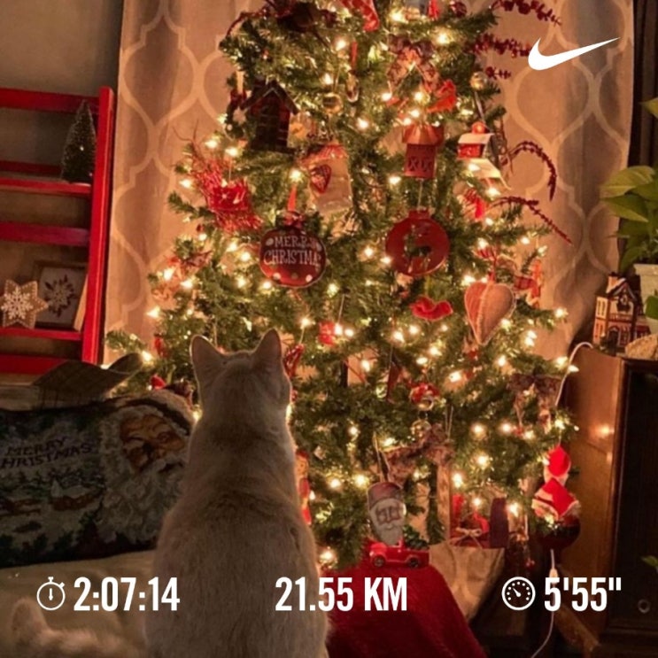  오늘의 [챌린지] 매일 10km 러닝 챌린지 1220일 차