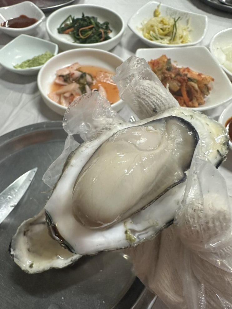 광양 중마동 굴찜 맛집 - 마동쉼터