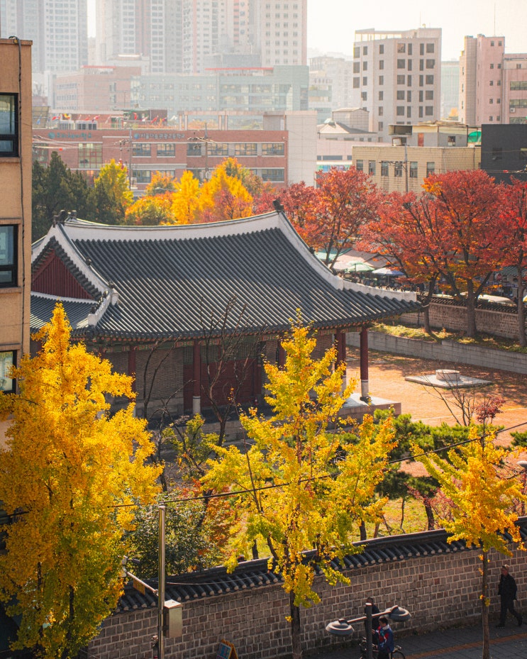  동묘 여행 (1) :: 동묘백숙닭국수, 동묘 벼룩시장, 동관왕묘