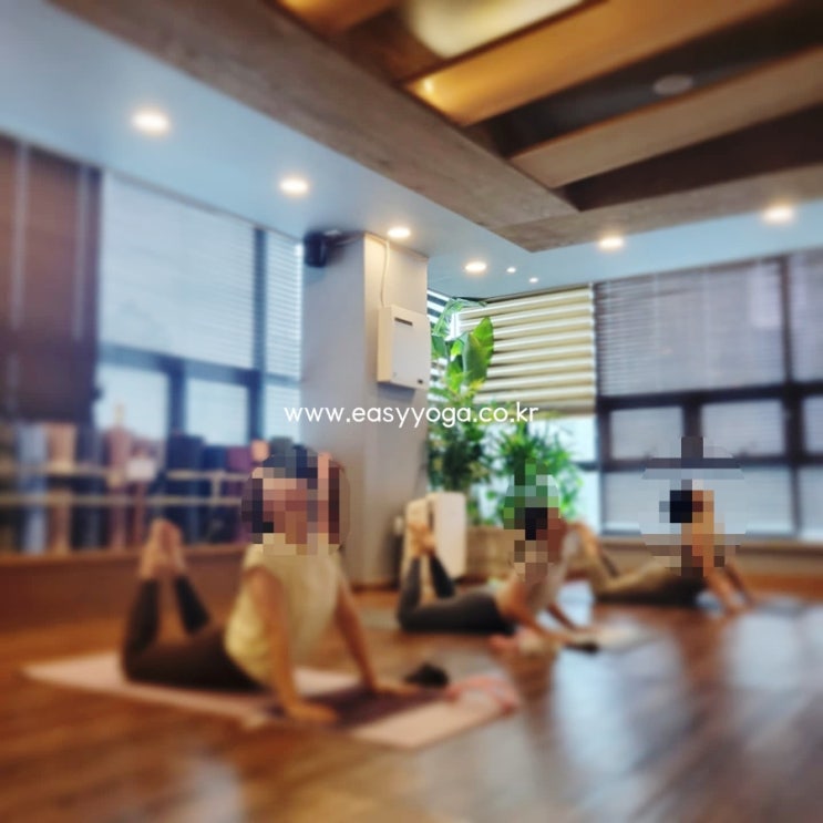  용인요가로 시작하는 건강한 하루, 동백동 요가 추천