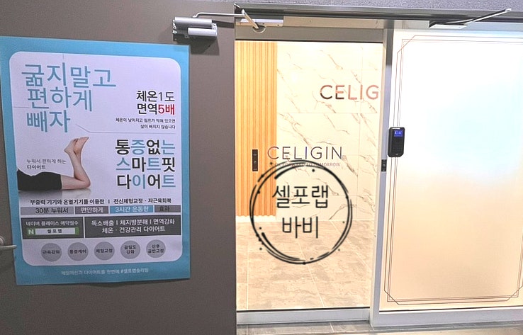  [대구/중구]쉽고 빠른 대구 다이어트 비만관리 셀포랩바비