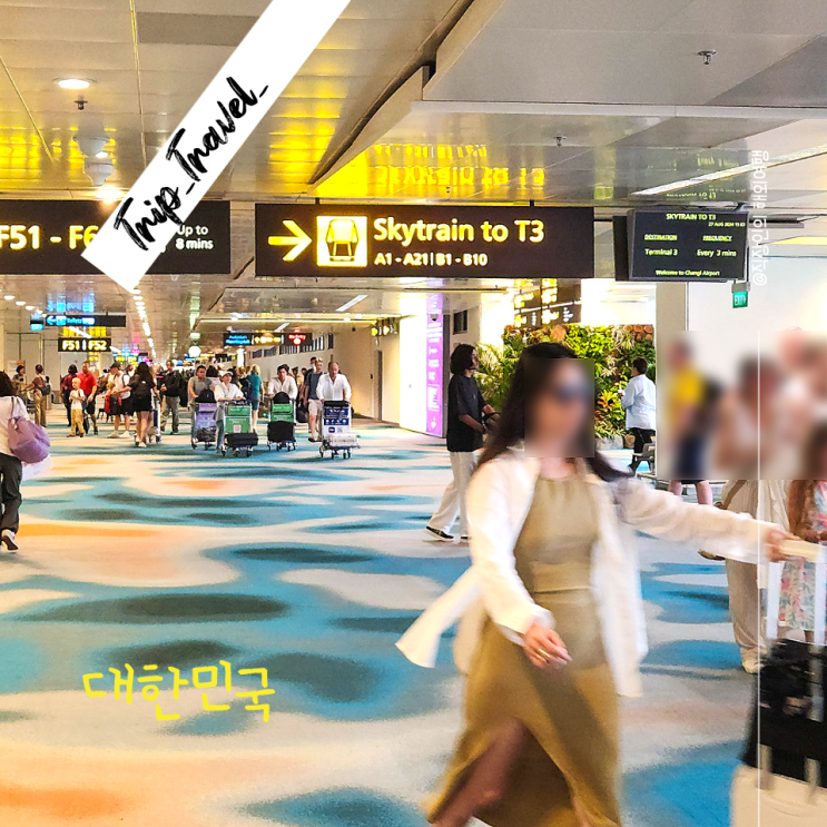  전 세계 공항 코드 총정리 IATA 공항코드 국가코드 여행 준비 끝