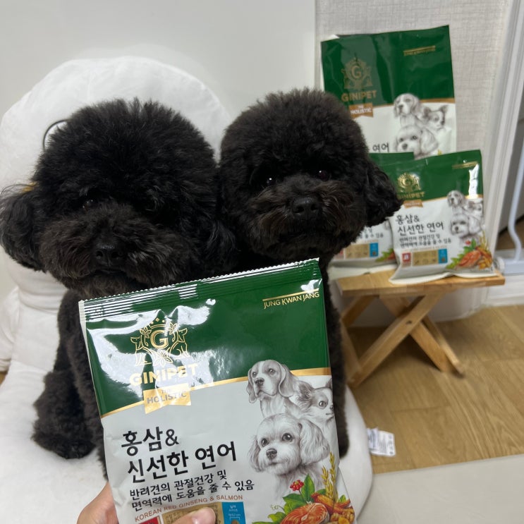  강아지 홍삼 가수분해사료 정관장 지니펫 강아지 밥 급여 후기