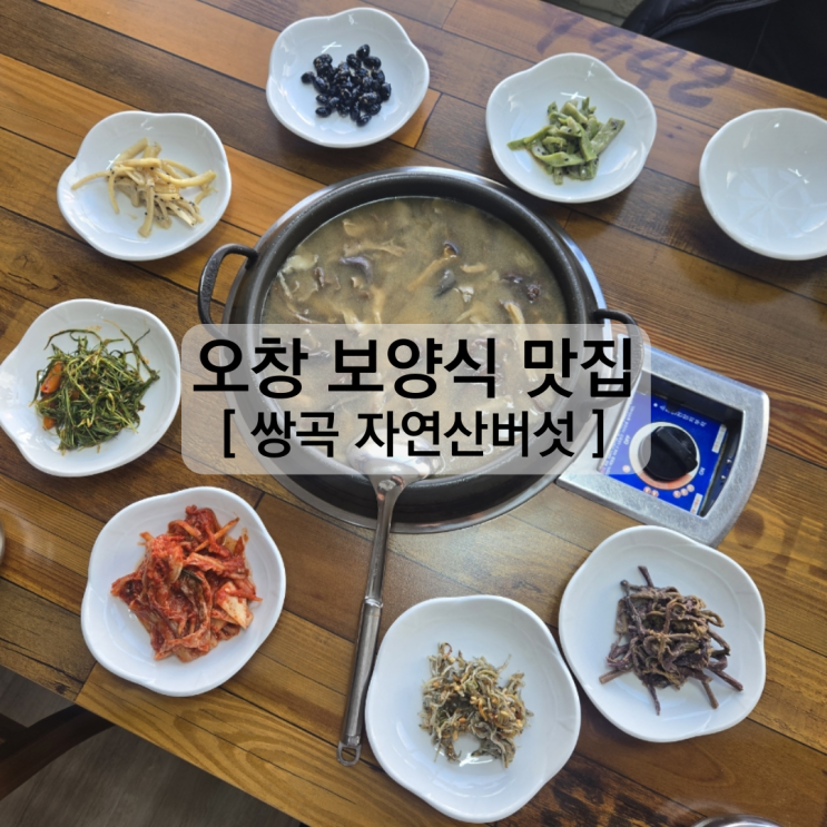 청주 오창맛집 몸보신추천 쌍곡자연산버섯