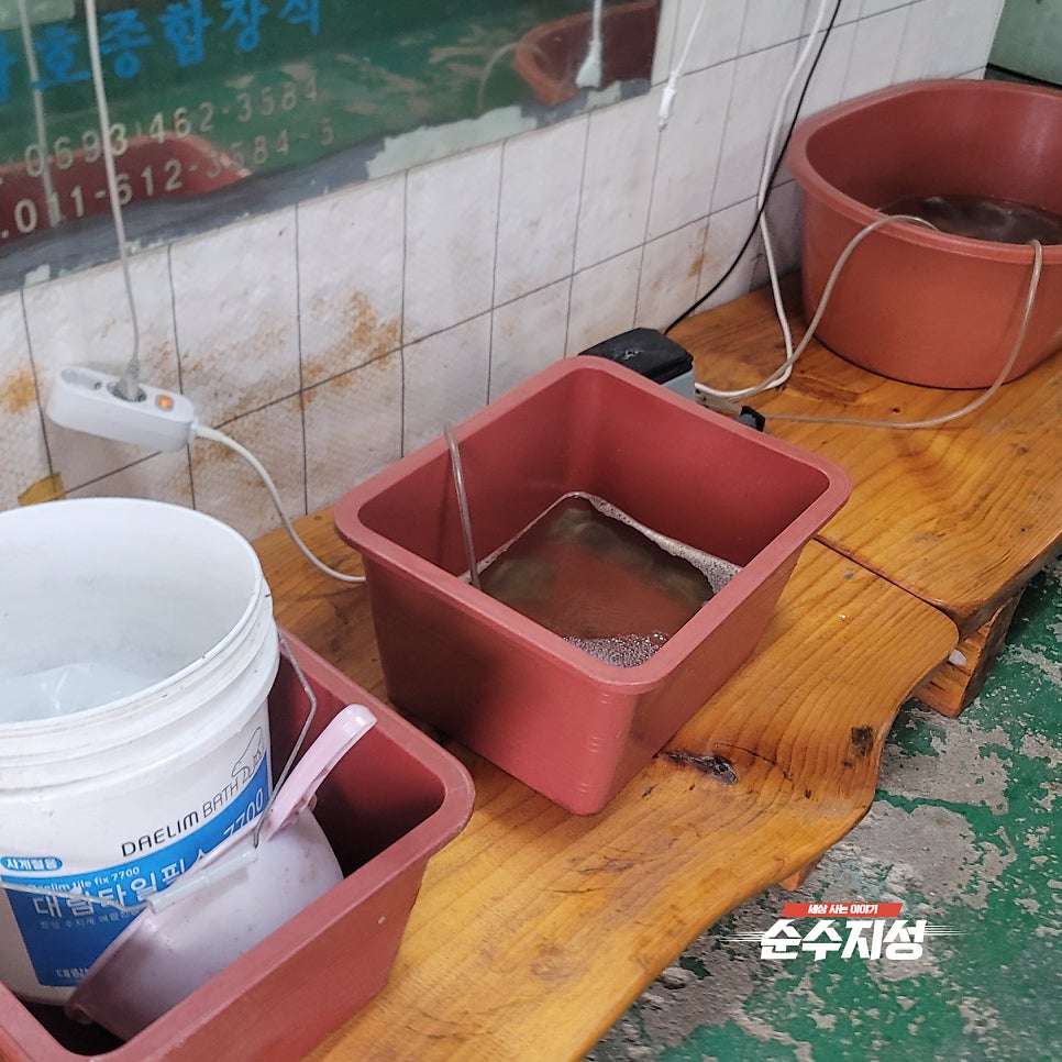 대호식당 사진 6