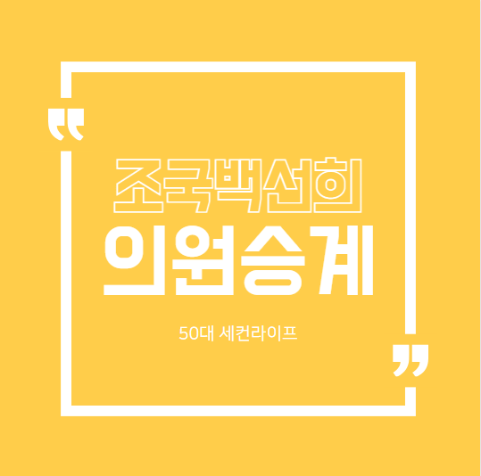  조국 대법원판결 의원직 상실, 승계는 백선희 의원, 탄핵의결 정족수는?