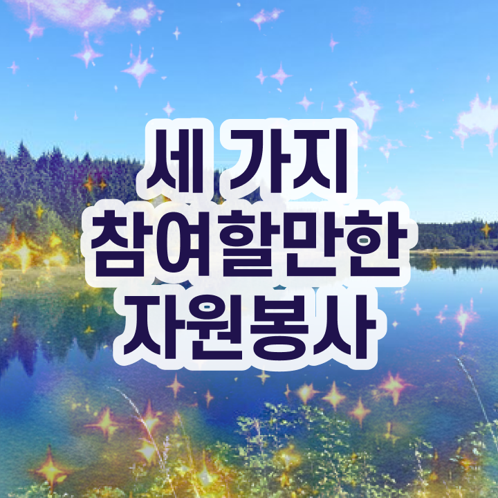  , 자원봉사지도사 자격증 취득했던 후기 최단기간 취득한 과정