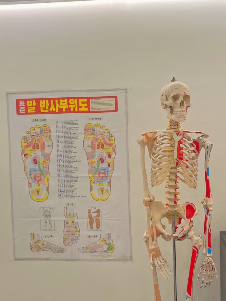  동탄 체형교정, 봄바디스킨에서 내 몸에 딱 맞는 맞춤형 관리를 경험하세요