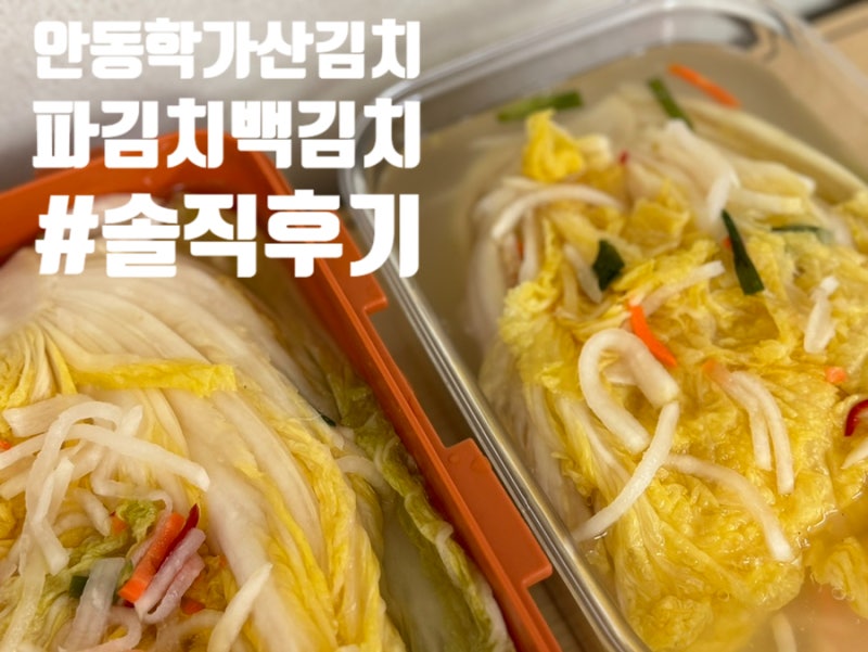 맘 카페 인기쟁이 안동 학가산 김치 파김치랑 백김치 솔직 후기