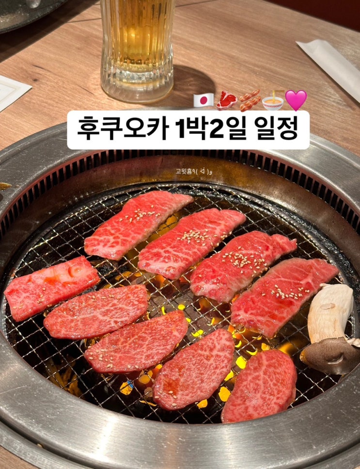  알찬 후쿠오카 1박2일 보내고 싶다면 당장 들어오십셔 (캐널시티 가는법, 캐널시티 맛집, 돈키호테, 후쿠오카 야끼니꾸, 니쿠이치야쿠인, 이치란라멘 본점, 스타벅스 )