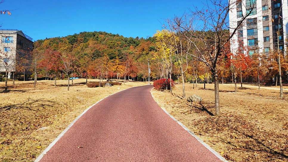 갈동뒷동산 사진 4