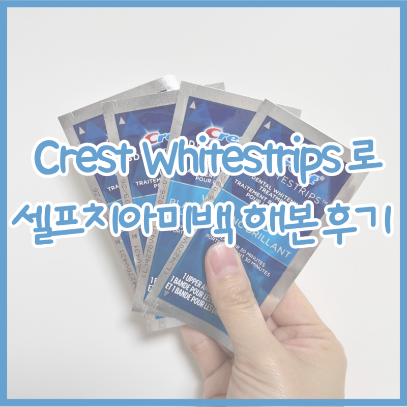 내돈내산 셀프 치아미백하기 (feat. Crest 3D white strips 사용법, 후기)