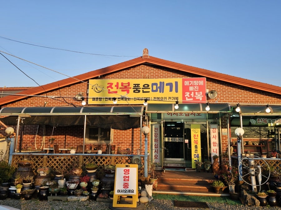 전복품은메기 사진 2