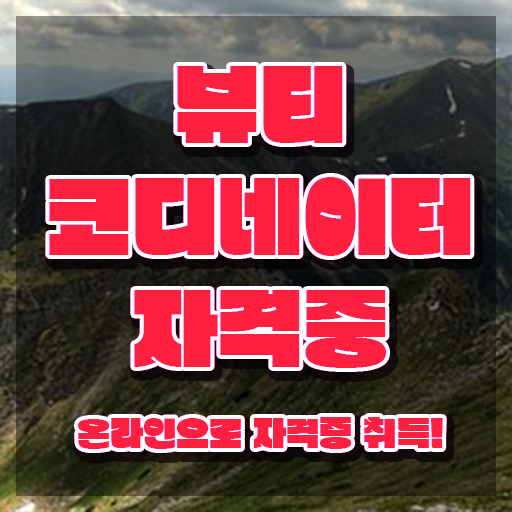  스타일리스트학원 , 뷰티코디네이터 자격증 간단하게 준비한 방법 , 취업정보