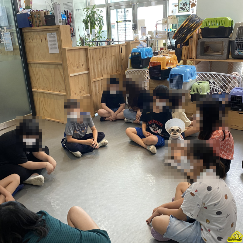 사진 2