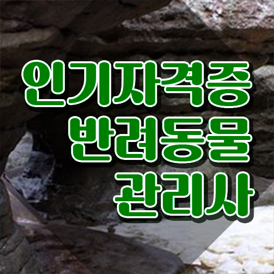  반려동물관리사학원 , 반려동물관리사 자격증 쉽고 빠르게 취득한 정보 , 고용 전망