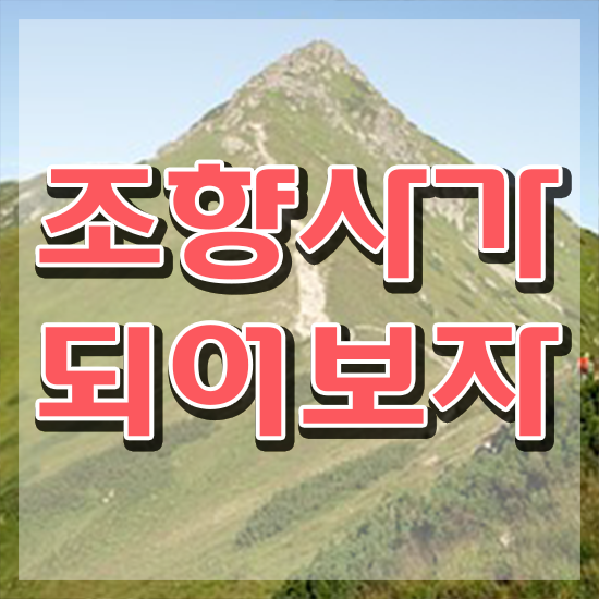  조향사 자격증 실기 , 20일 만에 조향사 합격한 후기