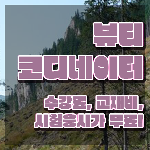  방송스타일리스트취업 , 뷰티코디네이터 자격증 온라인으로 쉽게 취득한 노하우 , 구직정보