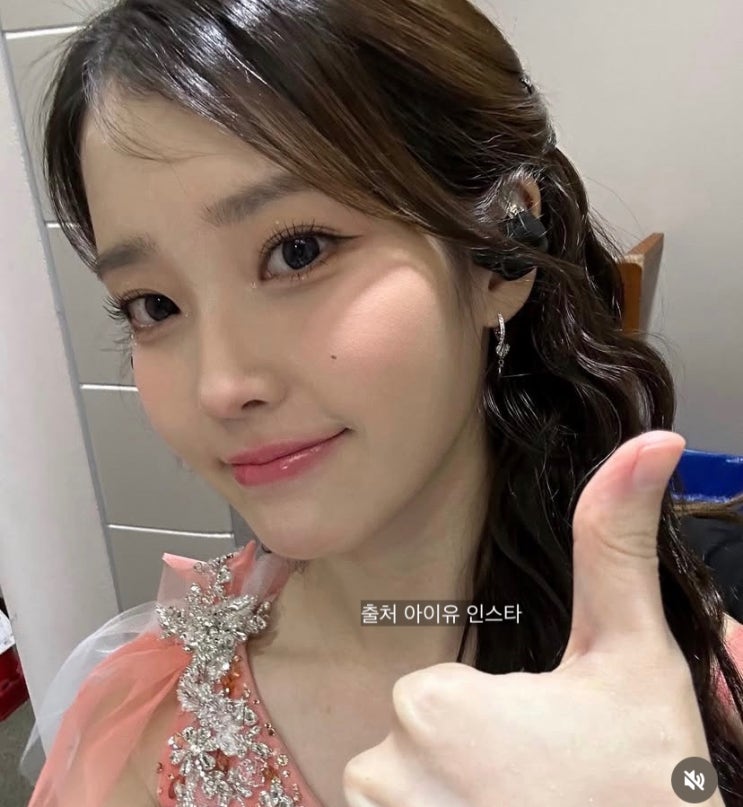 윤석열 <b>탄핵 집회</b> 아이유 소녀시대 유리 <b>선결제</b> 빵 핫팩 김밥... 