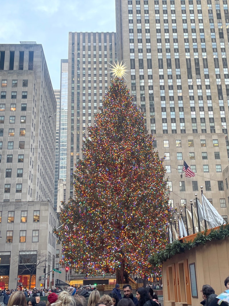 미국 뉴욕 날씨 12월 1월 옷차림 크리스마스 분위기 듬뿍 즐기기 : 네이버 블로그, image size:800x1067