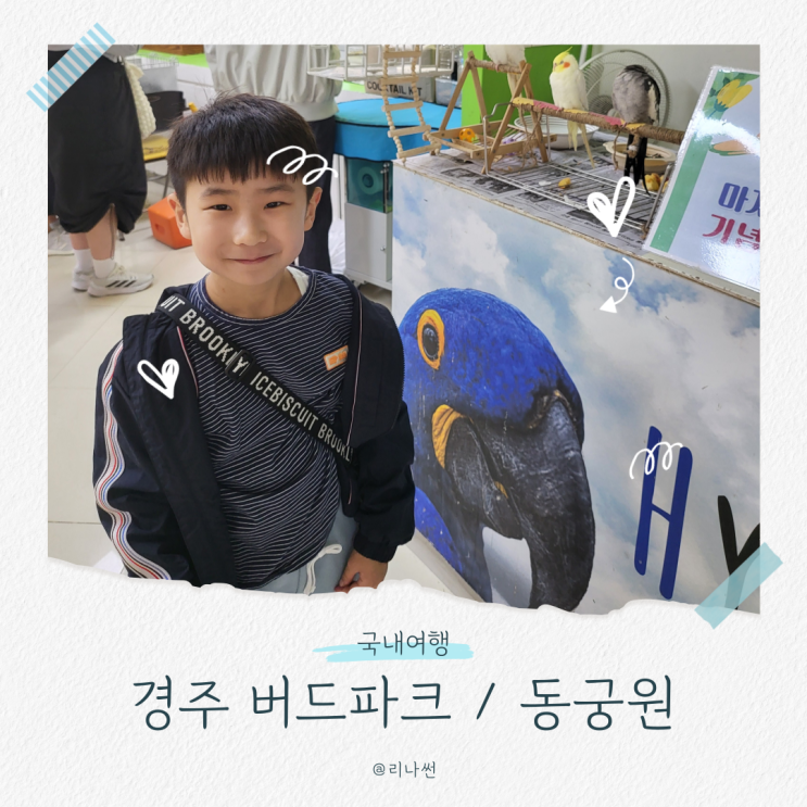  경주 버드파크 입장료 주차 동궁원 보문단지 아이와 가볼만한곳