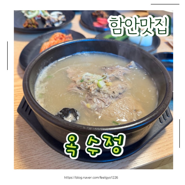  함안맛집 옥수정 겨울보양식 한방삼암탕 한그릇