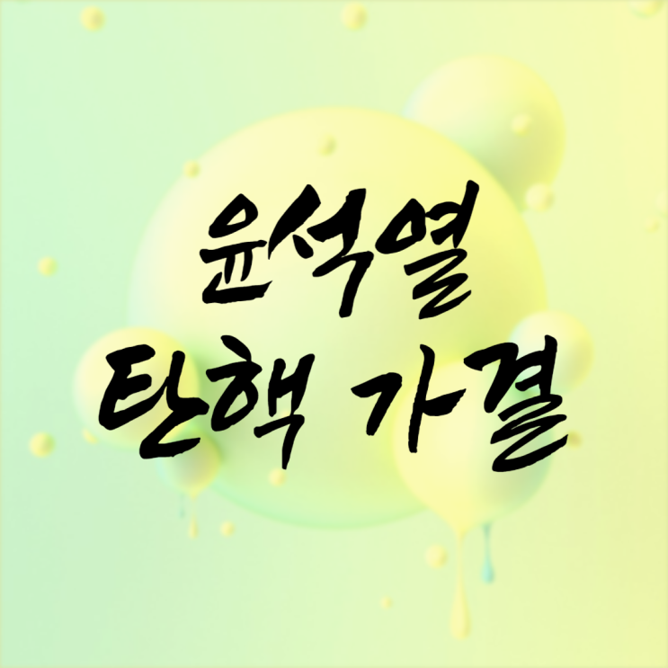 이재명 관련주 <b>윤석열 대통령 탄핵 가결</b>로 다시 상승할까