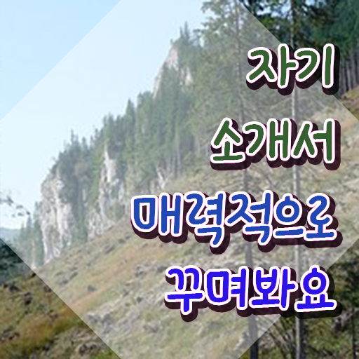  1급자기소개서지도사자격증학원 , 자기소개서지도사 자격증 15일 만에 준비한 과정 , 이후 전망