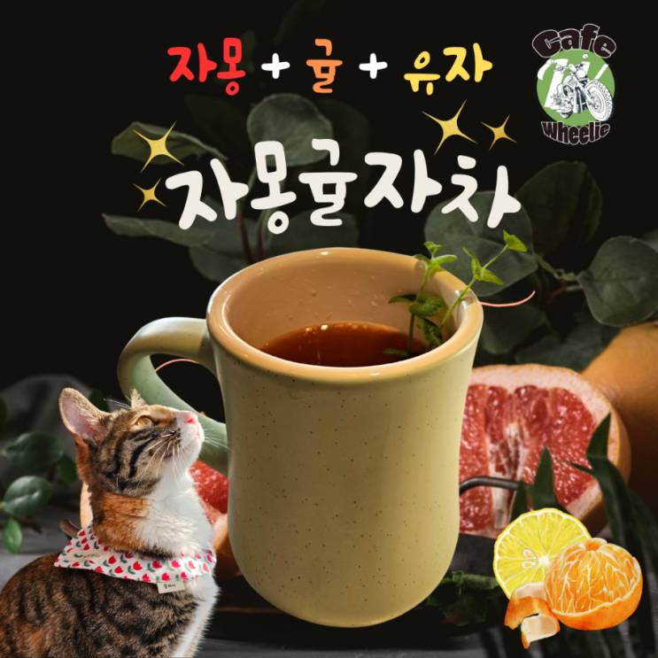  카페윌리 놀러와라냥 넓다 좌석이 편하다냥