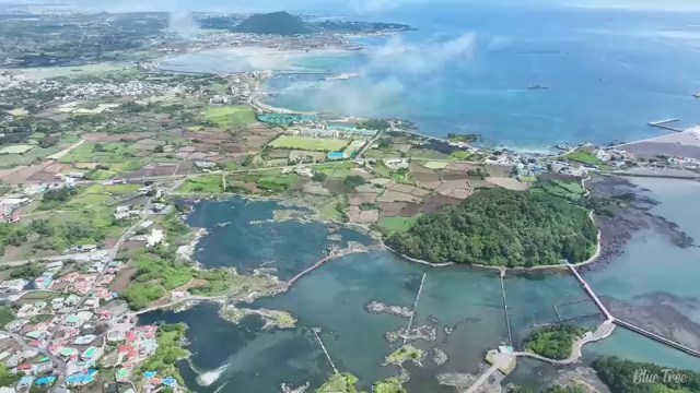  , 정리수납전문가자격증 구체적인 합격한 팁