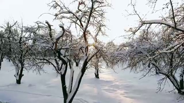  수원 결혼박람회 , 웨딩플래너 와 함께해요 , 결혼박람회에서 결혼준비 최고의 조건으로 혜택받는 법