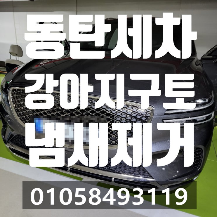  동탄출장세차 자동차시트 강아지구토 냄새제거 작업비용 크리닝가격