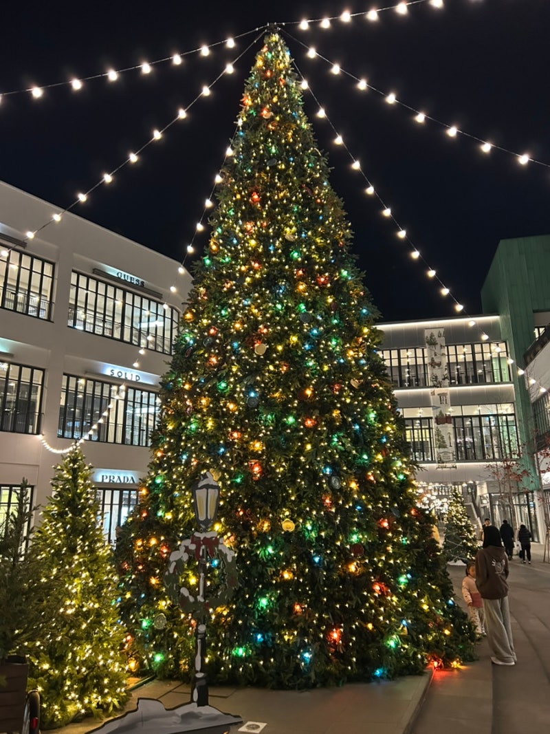 대전 현대아울렛 빕스 크리스마스 12월 할인/소방관 군인할인/이벤트 정보 :) : 네이버 블로그, image size:800x1067