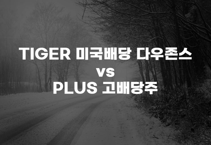  TIGER 미국배당 다우존스(458730) vs PLUS 고배당주(161510) 비교 주식 주가 배당