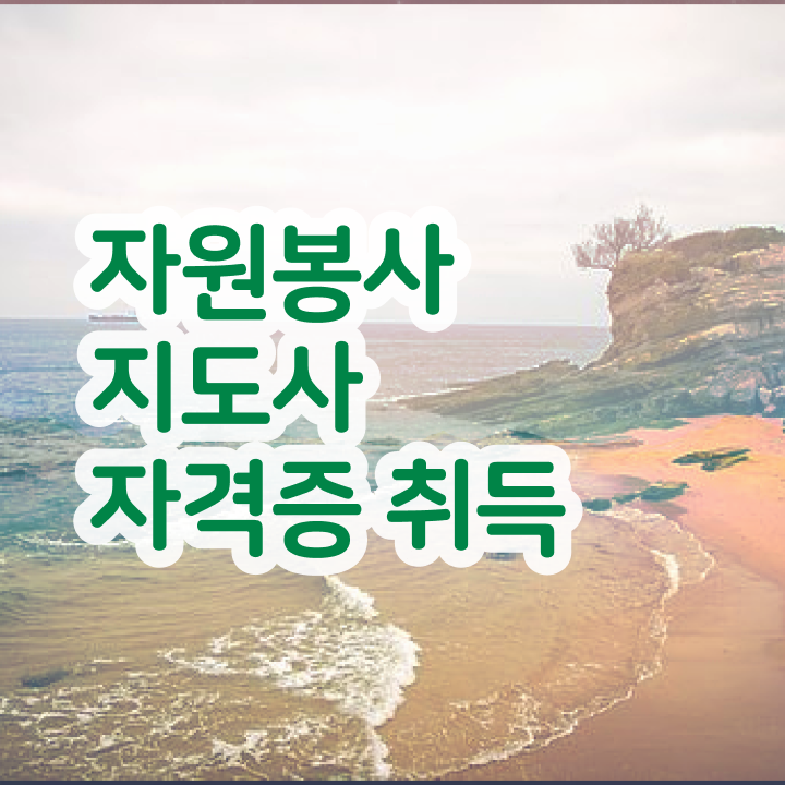  , 자원봉사지도사 자격증 한달 만에 합격정보 및 고용 전망