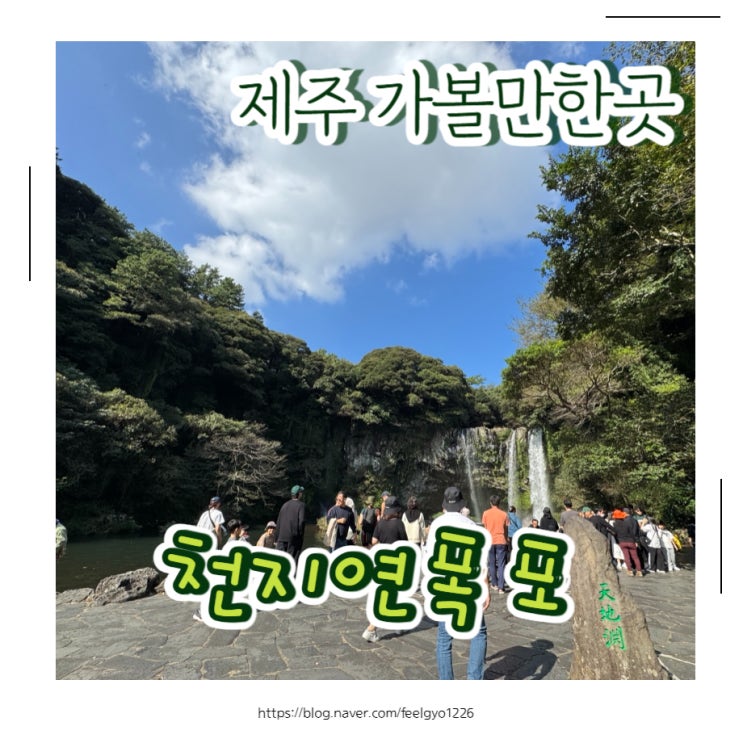  제주도 가족여행 가볼만한곳 천지연폭포