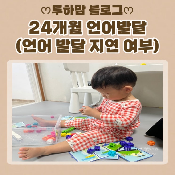  24개월 언어발달 (어휘력, 문장구조, 발음, 이해력, 발음, 이해력, 사회적 언어 사용, 발화의 다양성, 언어 발달 지연 여부)