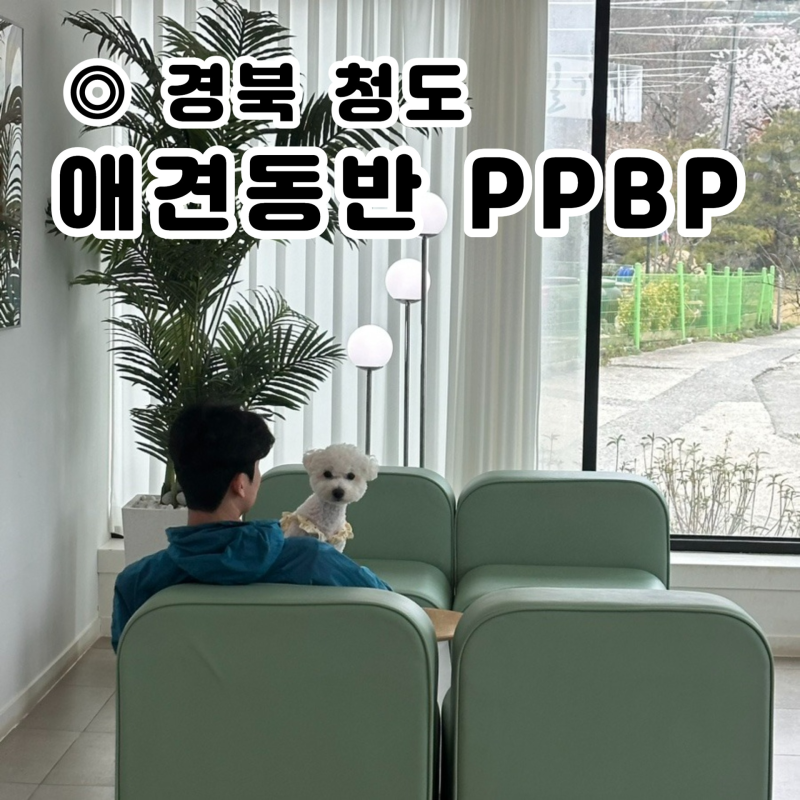 사진 9