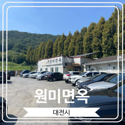  [원미면옥] 나 혼자 산다에 방영 된 대전의 황해도식 닭냉면 맛집