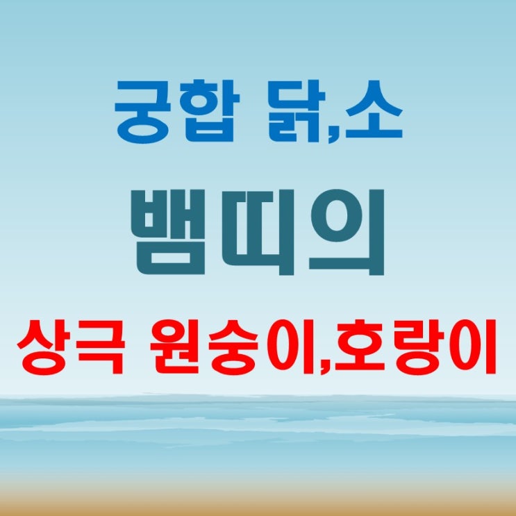  뱀띠 상극 원숭이와 호랑이 궁합 닭과 소