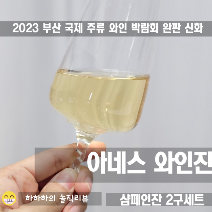  와인박람회 완판했던 아네스와인잔 샴페인잔 선물용세트 추천